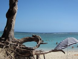 Lagon de Saint Gilles